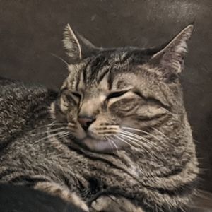 Bundle and save 😄